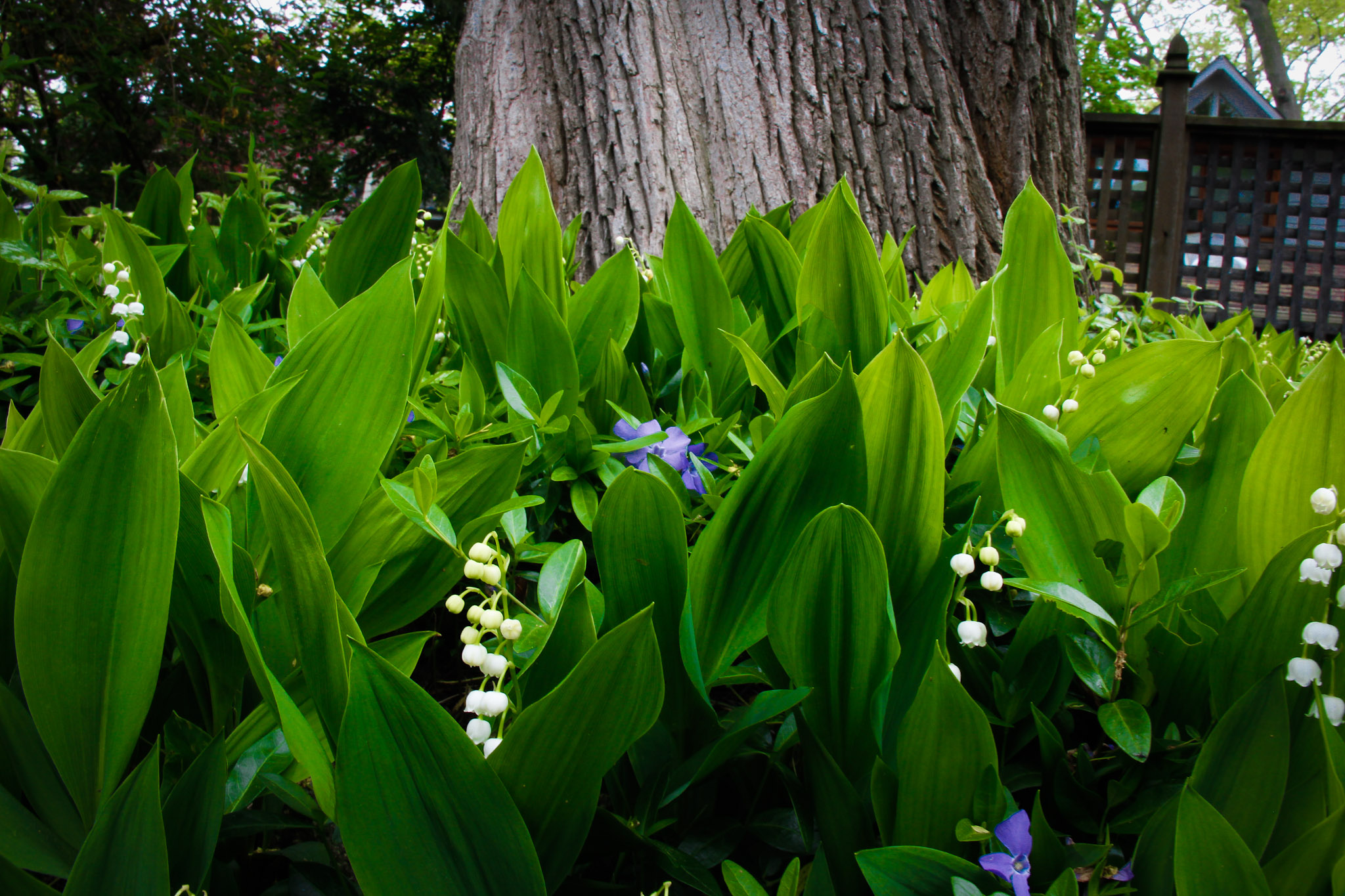 Paula, Andre, and Lucas.